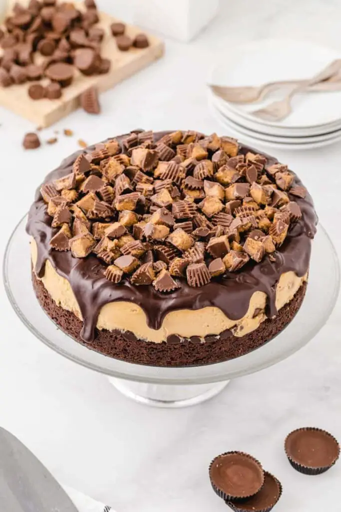 Peanut-Butter-Cheesecake-16